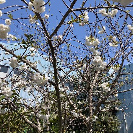 ナリタエアポート サムライホステル 九十九里町 エクステリア 写真